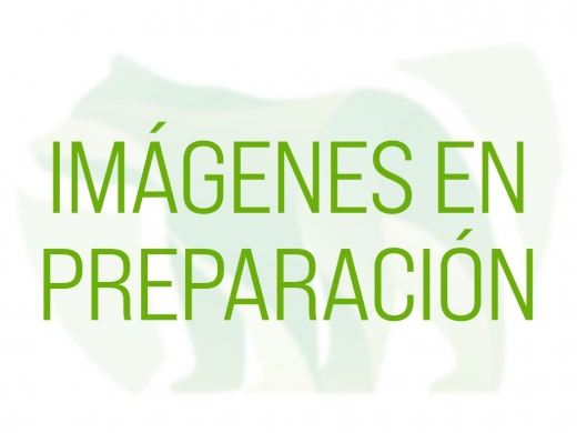 Autocaravana Roller Team Kronos 277 M