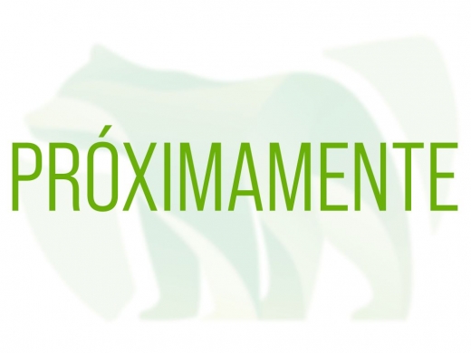 Camper Challenger V114 Break Edition